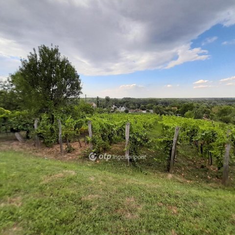 Eladó üzlethelyiség, Szekszárdon 51.975 M Ft