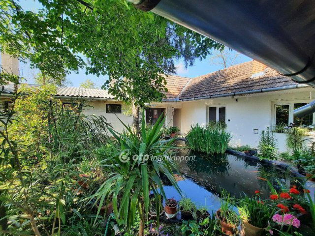 Eladó mezogazdasagi ingatlan, Cegléden 65 M Ft, 4+2 szobás