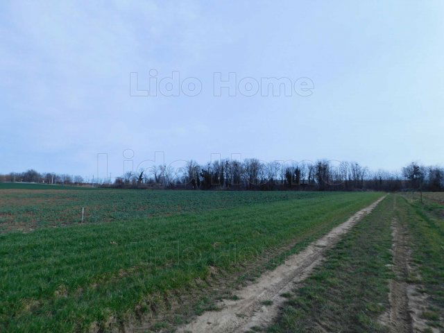 Eladó mezogazdasagi ingatlan, Nemesbükön 6.5 M Ft