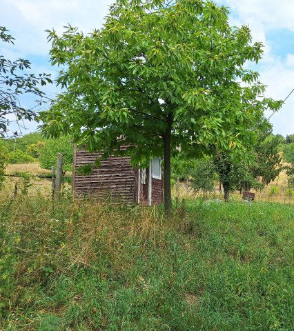 Eladó telek, Sümegen 9.5 M Ft / költözzbe.hu