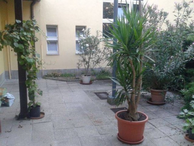 Kiadó iroda, Békéscsabán, Kazinczy utcában 29 E Ft / hó