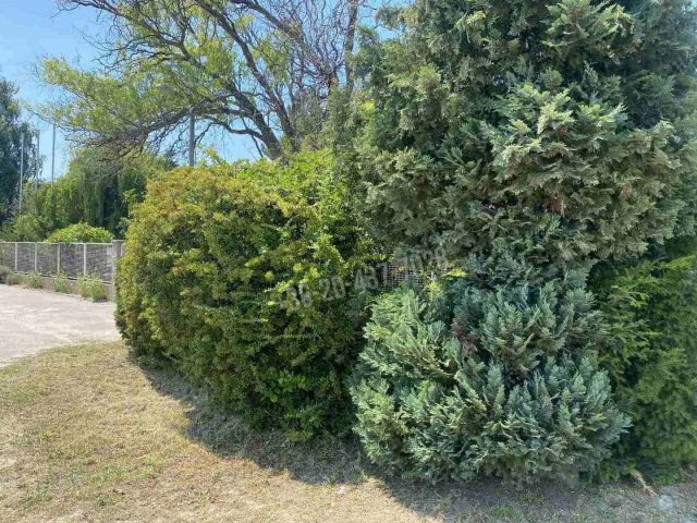 Eladó telek, Dunaharasztin 280 M Ft / költözzbe.hu