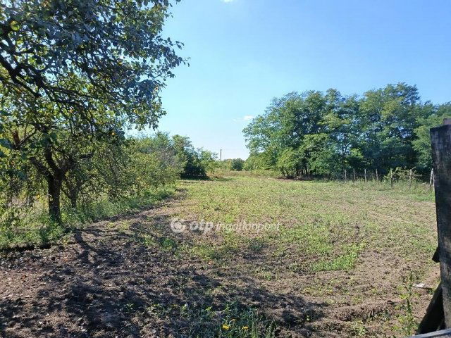 Eladó családi ház, Sárándon 32 M Ft, 2 szobás