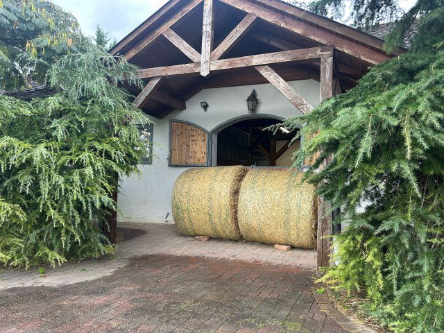 Eladó mezogazdasagi ingatlan, Gyugyon 295 M Ft