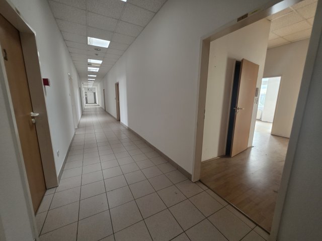 Kiadó iroda, Budapesten, XI. kerületben, Kondorfa utcában