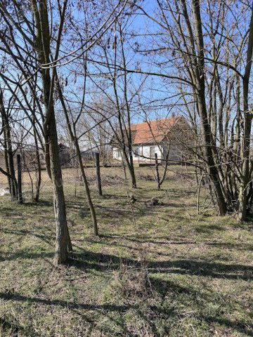 Eladó mezogazdasagi ingatlan, Lajosmizsén 99 M Ft