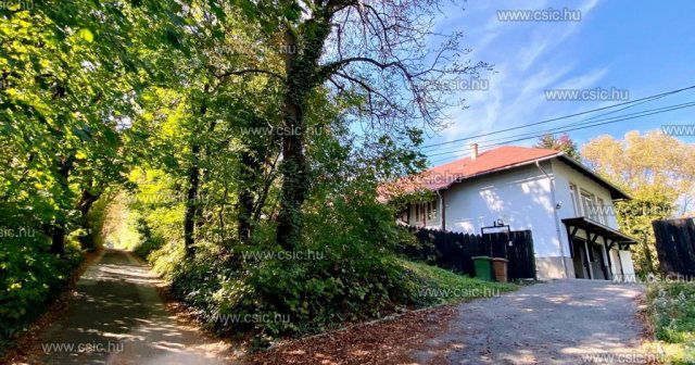 Eladó családi ház, Tahitótfalun 589 M Ft, 10 szobás