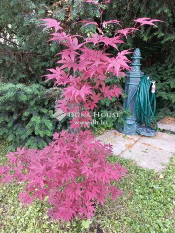 Eladó családi ház, Esztergomban 134.9 M Ft, 5 szobás