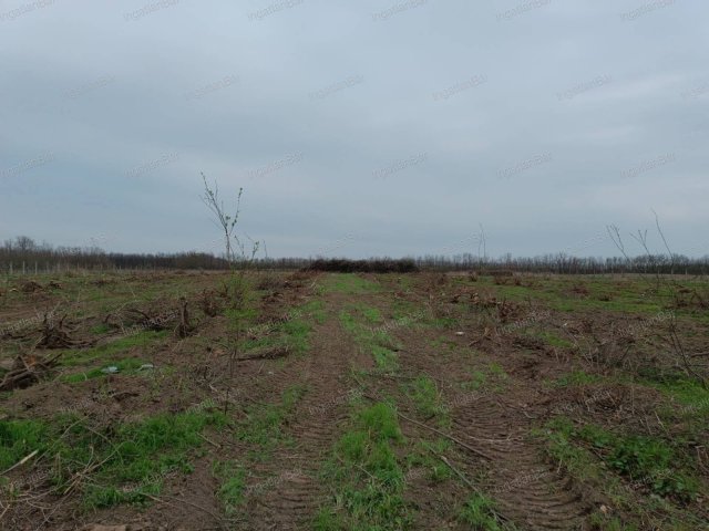 Eladó telek, Nyíregyházán 71 M Ft / költözzbe.hu
