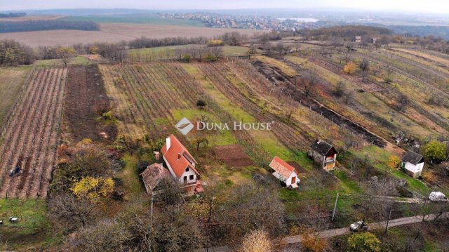 Eladó mezogazdasagi ingatlan, Környén 259.9 M Ft, 4 szobás