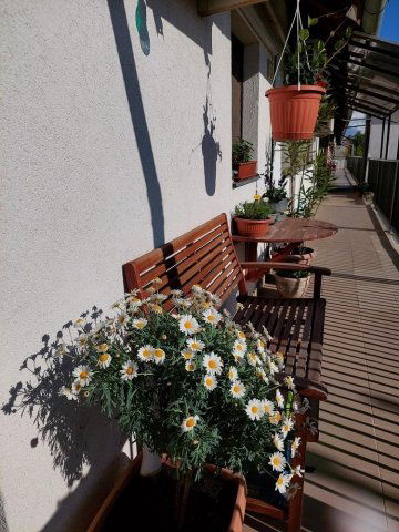 Eladó téglalakás, Debrecenben 76.9 M Ft, 3 szobás