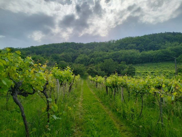 Eladó nyaraló, Zalaszentgróton 9.9 M Ft, 1 szobás