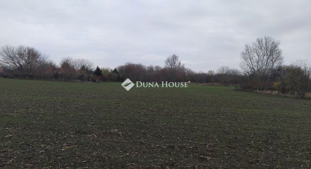 Eladó telek, Kecskeméten 39 M Ft / költözzbe.hu