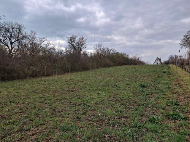 Eladó mezogazdasagi ingatlan, Balatonalmádiban 15 M Ft