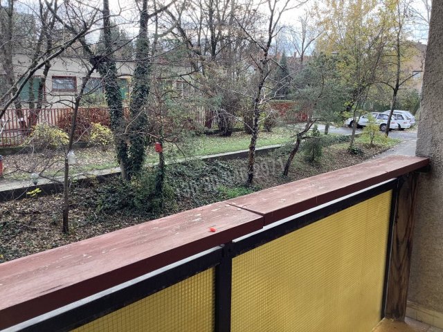 Kiadó téglalakás, albérlet, Békéscsabán, Andrássy úton