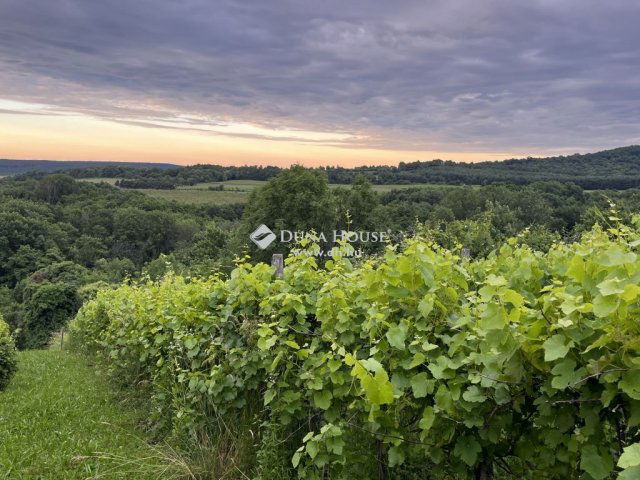 Eladó telek, Kőszegdoroszlón 13.99 M Ft / költözzbe.hu