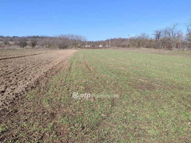 Eladó mezogazdasagi ingatlan, Tökön 15 M Ft