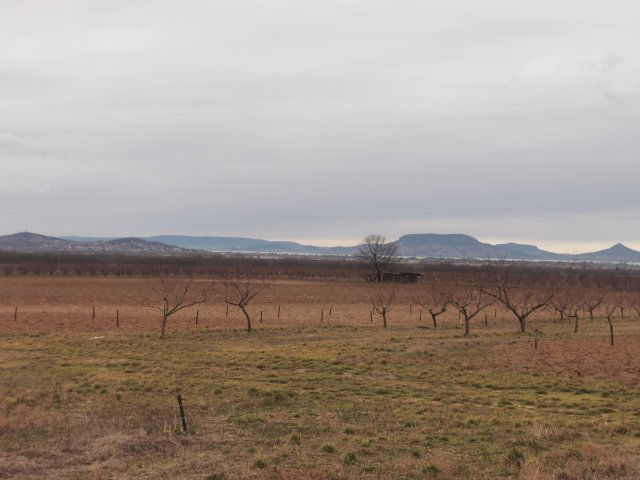 Eladó mezogazdasagi ingatlan, Ordacsehin 12 M Ft