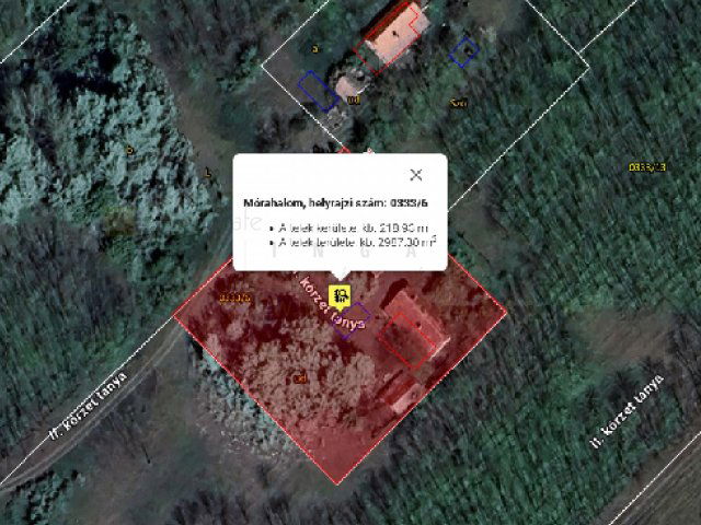 Eladó mezogazdasagi ingatlan, Mórahalmon 6 M Ft