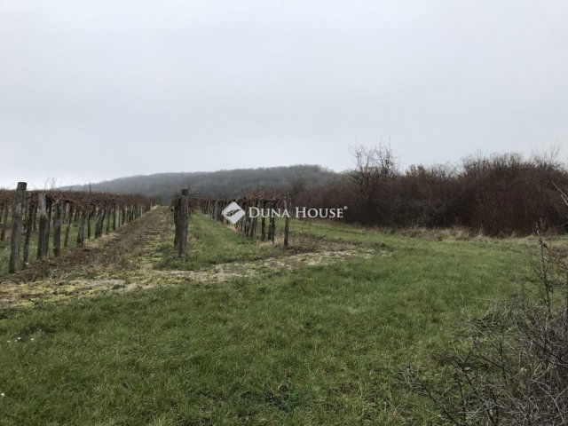 Eladó telek, Szentjakabfán 8.9 M Ft / költözzbe.hu
