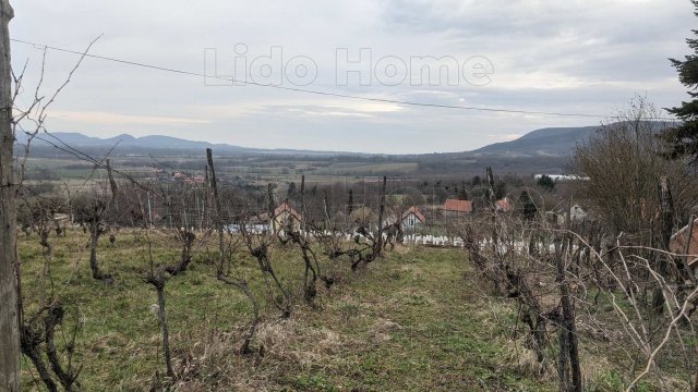 Eladó mezogazdasagi ingatlan, Lesencetomajon 105 M Ft, 1 szobás