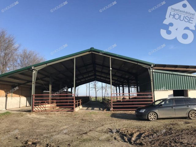 Eladó családi ház, Kocséren 125 M Ft, 5 szobás