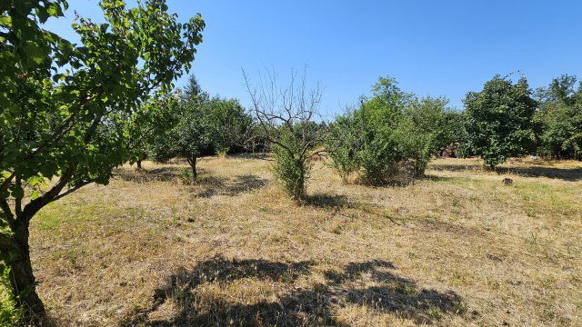 Eladó telek, Jászszentandráson, Zrínyi úton 14.5 M Ft