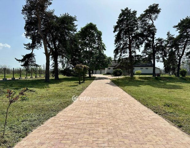 Eladó mezogazdasagi ingatlan, Dánszentmiklóson 124 M Ft