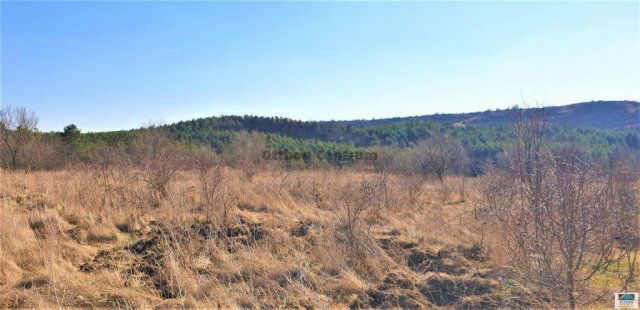 Eladó telek, Tinnyén 49.99 M Ft / költözzbe.hu