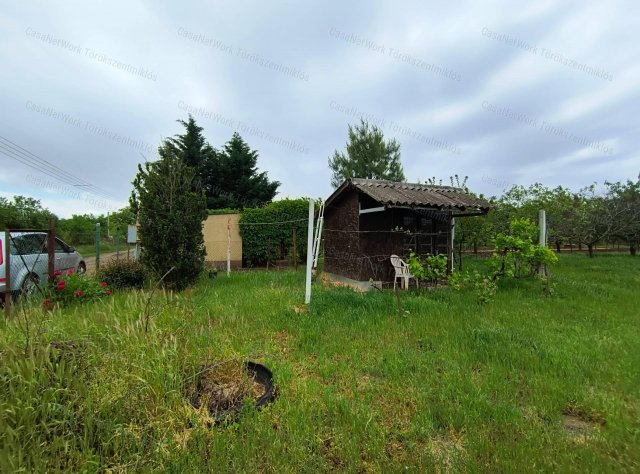 Eladó mezogazdasagi ingatlan, Törökszentmiklóson 2.6 M Ft