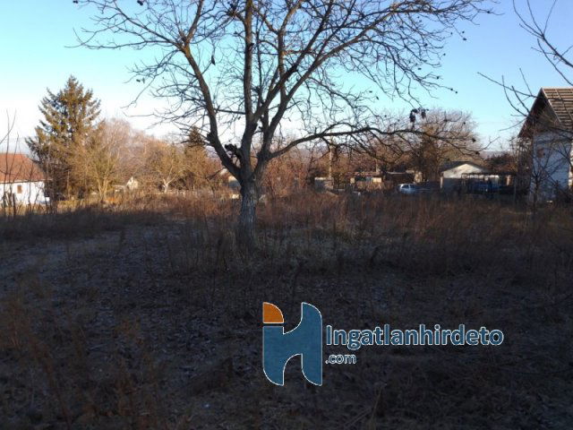 Eladó mezogazdasagi ingatlan, Mogyoródon 24 M Ft