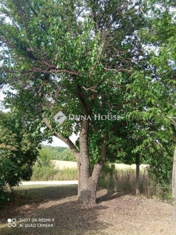 Eladó telek, Kecskeméten 12.9 M Ft / költözzbe.hu