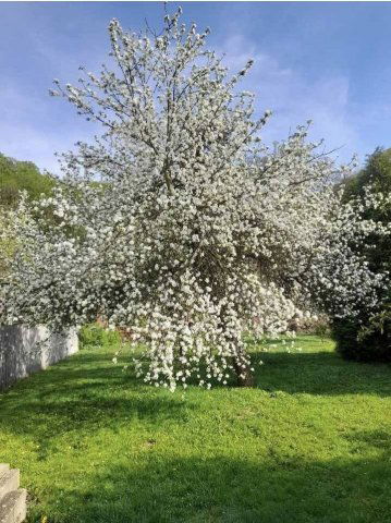 Eladó családi ház, Parasznyán 41.99 M Ft, 4 szobás