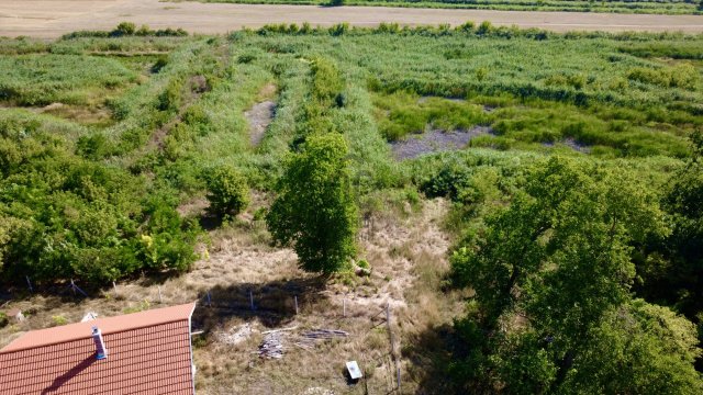 Eladó mezogazdasagi ingatlan, Csongrádon 105 M Ft