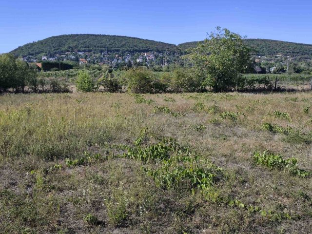 Eladó telek, Csopakon 75.6 M Ft / költözzbe.hu