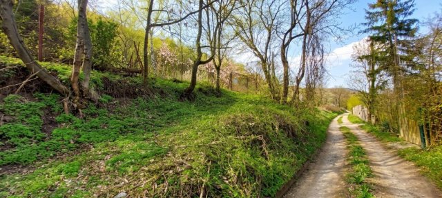 Eladó telek, Szentendrén 33 M Ft / költözzbe.hu