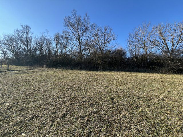 Eladó telek, Szálkán 36 M Ft / költözzbe.hu