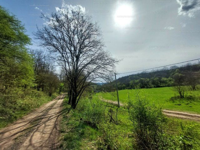 Eladó telek, Zebegényben, Almás kertben 20 M Ft