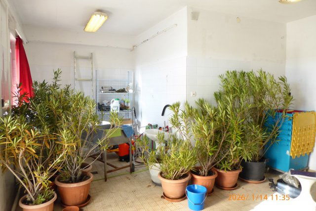 Kiadó ipari ingatlan, Pécsett 45 E Ft / hó, 2 szobás