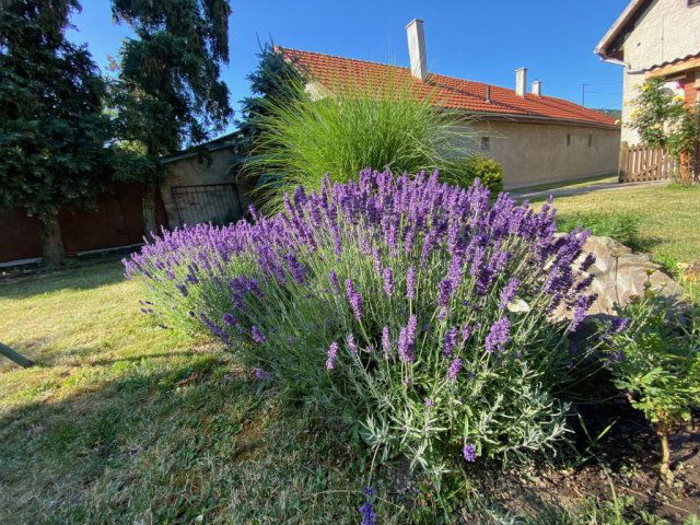 Eladó családi ház, Sátoraljaújhelyen, Deák utcában 75 M Ft