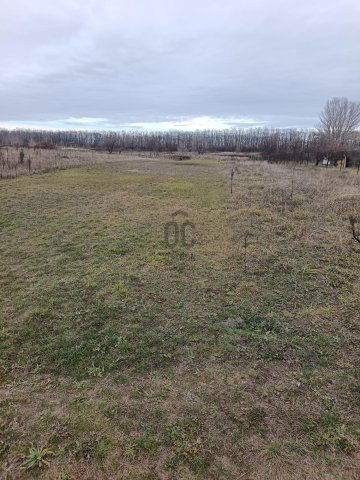 Eladó mezogazdasagi ingatlan, Budapesten, XVII. kerületben 3.9 M Ft