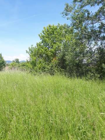 Eladó telek, Pomázon 10.7 M Ft / költözzbe.hu