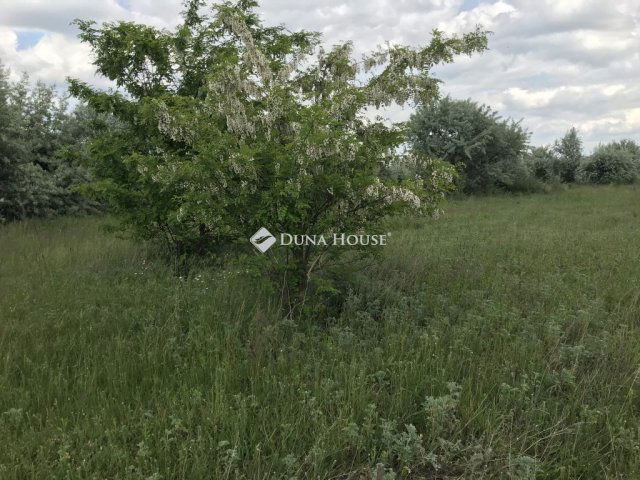 Eladó telek, Székesfehérvárott, Hernád utcában 14.9 M Ft