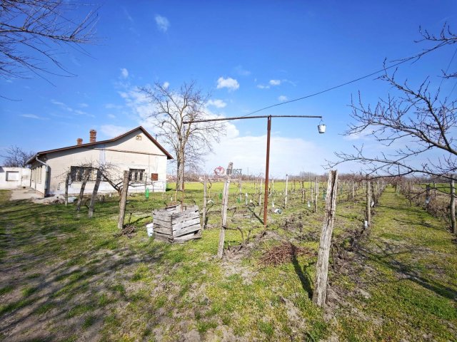 Eladó mezogazdasagi ingatlan, Forráskúton 26.9 M Ft, 3 szobás