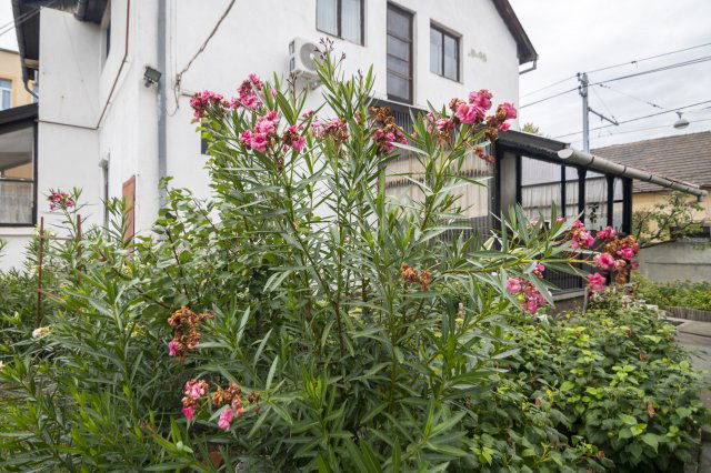 Eladó családi ház, Budapesten, XX. kerületben 79 M Ft, 4 szobás