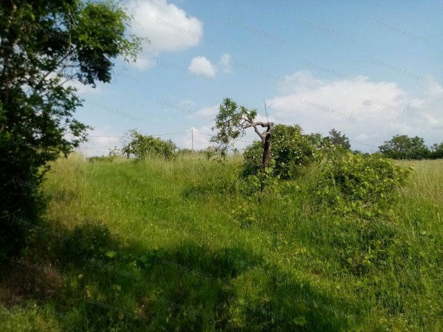 Eladó mezogazdasagi ingatlan, Igalon 2.4 M Ft