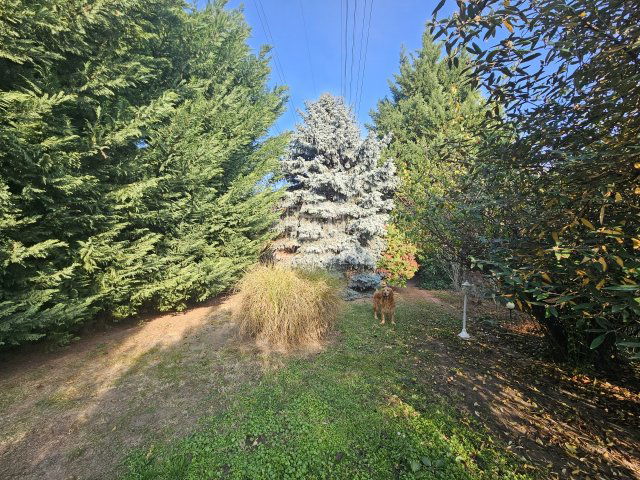 Eladó családi ház, Diósdon 105 M Ft, 4+1 szobás