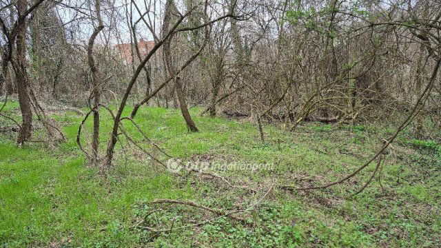 Eladó mezogazdasagi ingatlan, Pellérden 16 M Ft