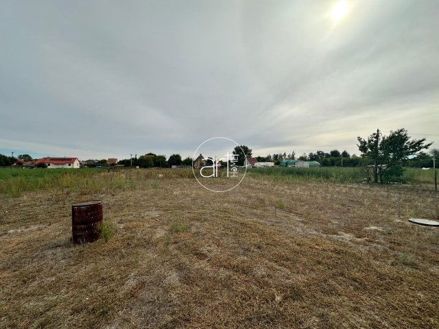 Eladó telek, Mórahalmon, Pacsirta dűlőn 12.5 M Ft