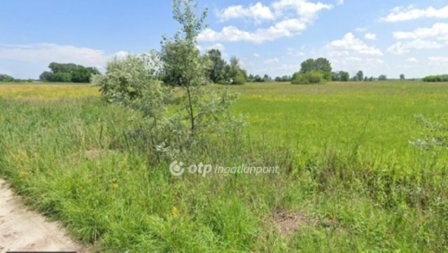 Eladó telek, Zsombón 32 M Ft / költözzbe.hu